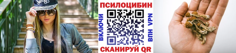 Псилоцибиновые грибы прущие грибы  MEGA ССЫЛКА  Петропавловск-Камчатский 